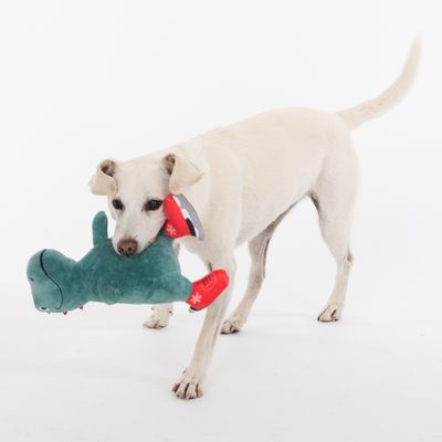TIAKI Hundespielzeug Dino mit Schlittschuhen