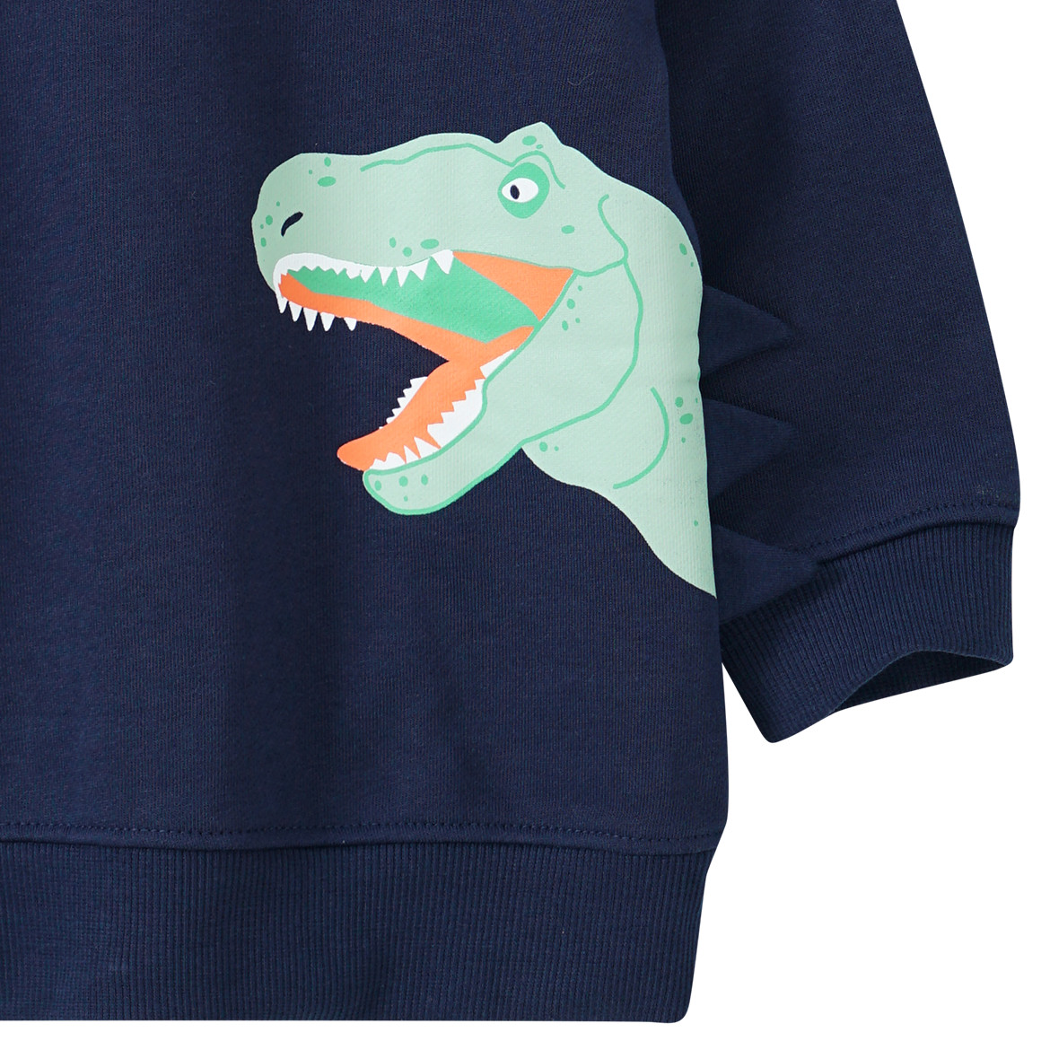 Jungen Sweatshirt mit Dino-Print