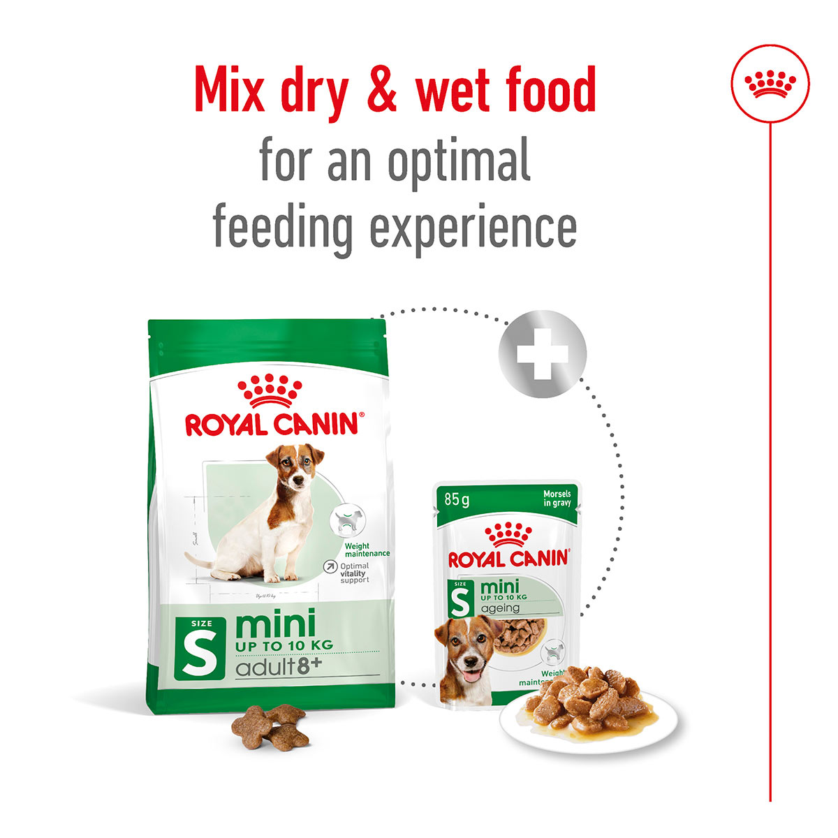 Royal Canin SHN Mini Ageing Gravy günstig kaufen bei ZooRoyal
