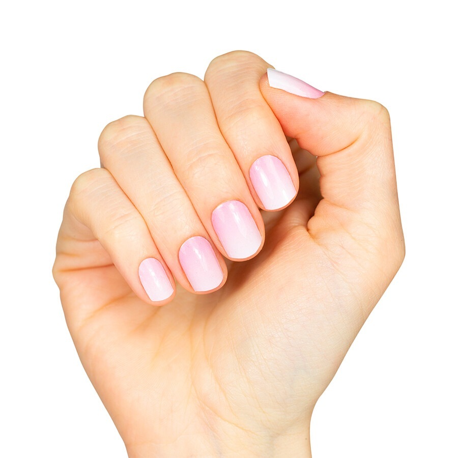 Rose Babyboomer