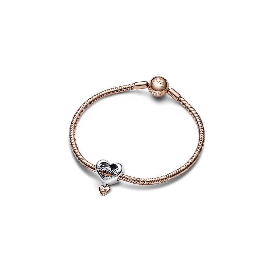 Pandora Charm Moments