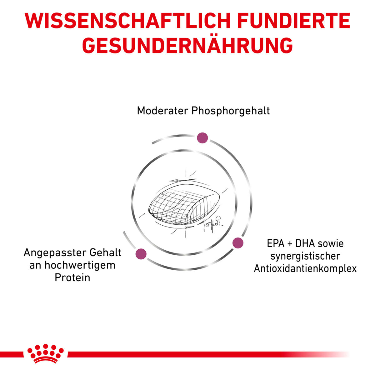 ROYAL CANIN Veterinary EARLY RENAL Trockenfutter für Hunde