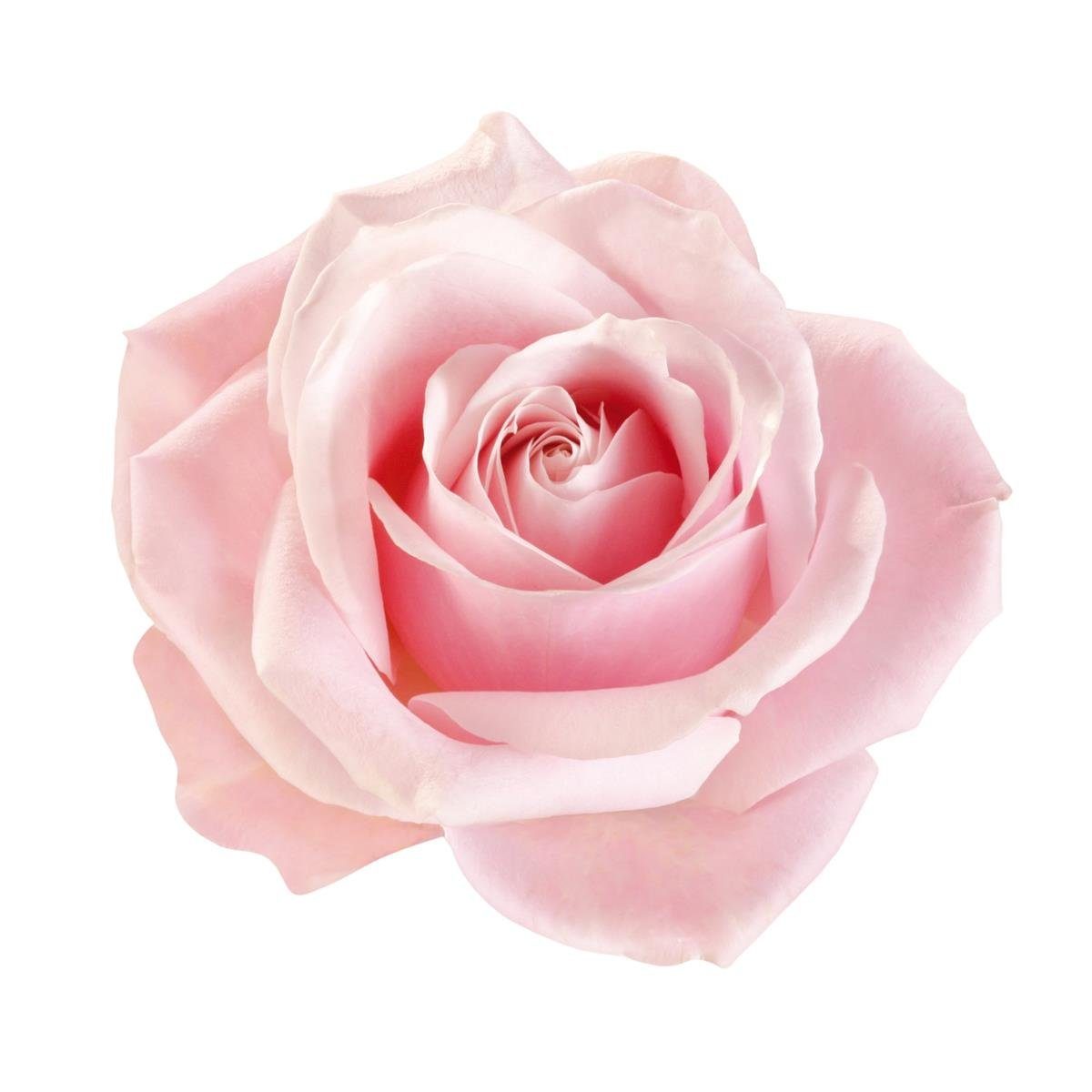 IPURO Raumduft Ipuro Essentials lovely flowers 200ml - Raumduft Dufträume Rosenduft