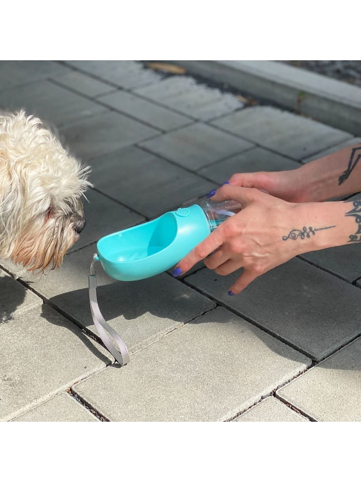 Intirilife Hunde Trinkflasche in Blau günstig kaufen onesize
