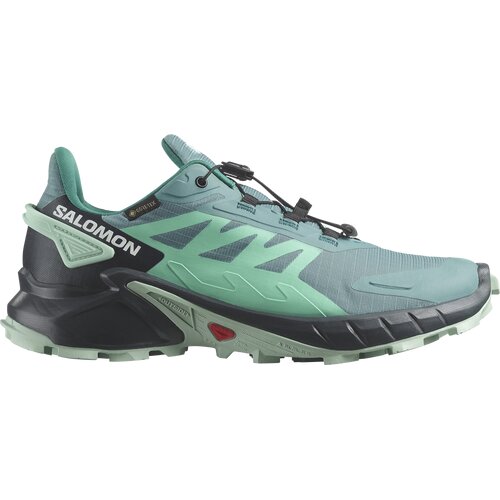 DAMEN TRAILRUNNINGSCHUHE SHOES SUPERCROSS 4 GTX W DUSTUR/INDINK/B