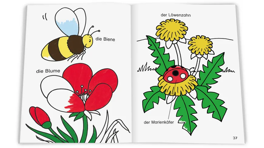 Meine ersten deutschen Wörter. Ausmalen und Lernen