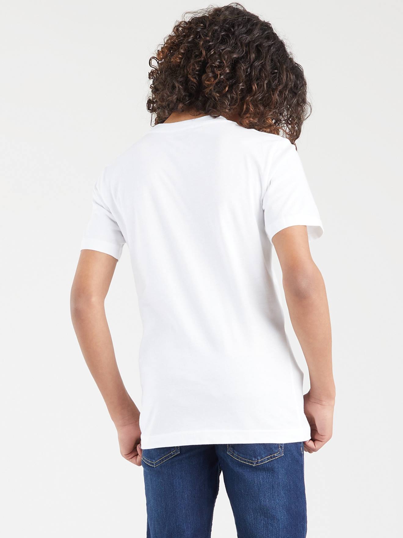 Levis Jungen T-Shirt Batwing Levi's - graublau