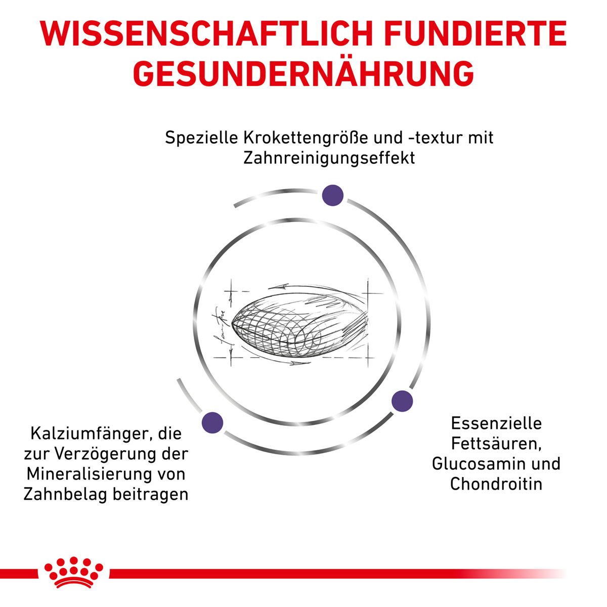 ROYAL CANIN Expert DENTAL MEDIUM & LARGE DOGS Trockenfutter für Hunde
