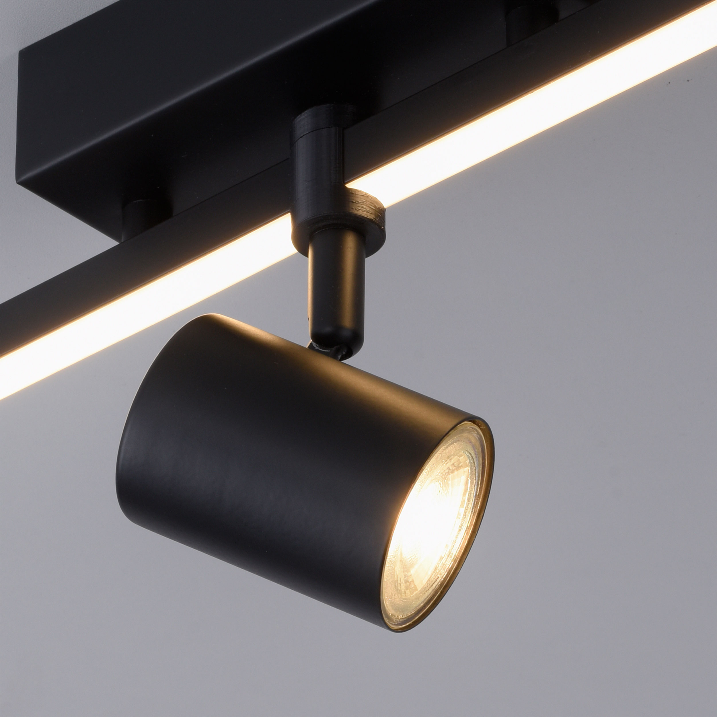Paul NeuhausLED-Deckenleuchte 1flg