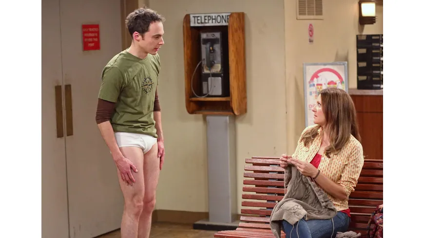 The Big Bang Theory - Staffel 8  [3 DVDs]
