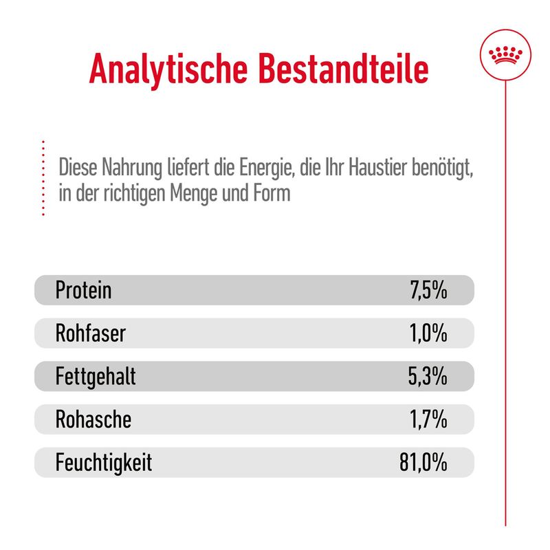 Royal Canin Maxi Adult in Soße zu TOP-Preisen