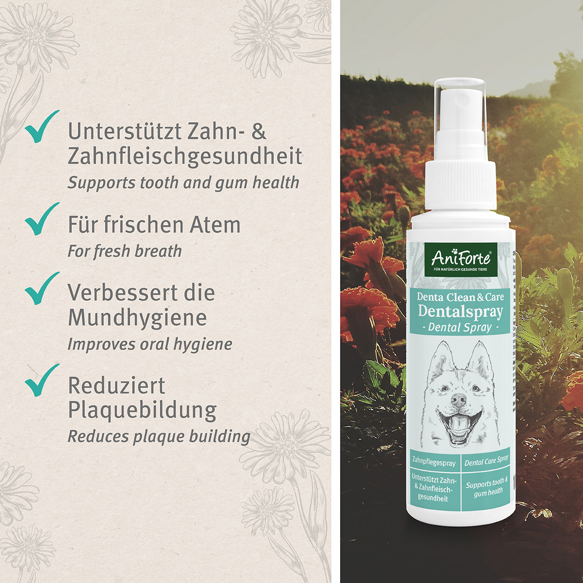 Aniforte Zahnpflege Aniforte Dentalspray Zahnpflege Spray 100ml