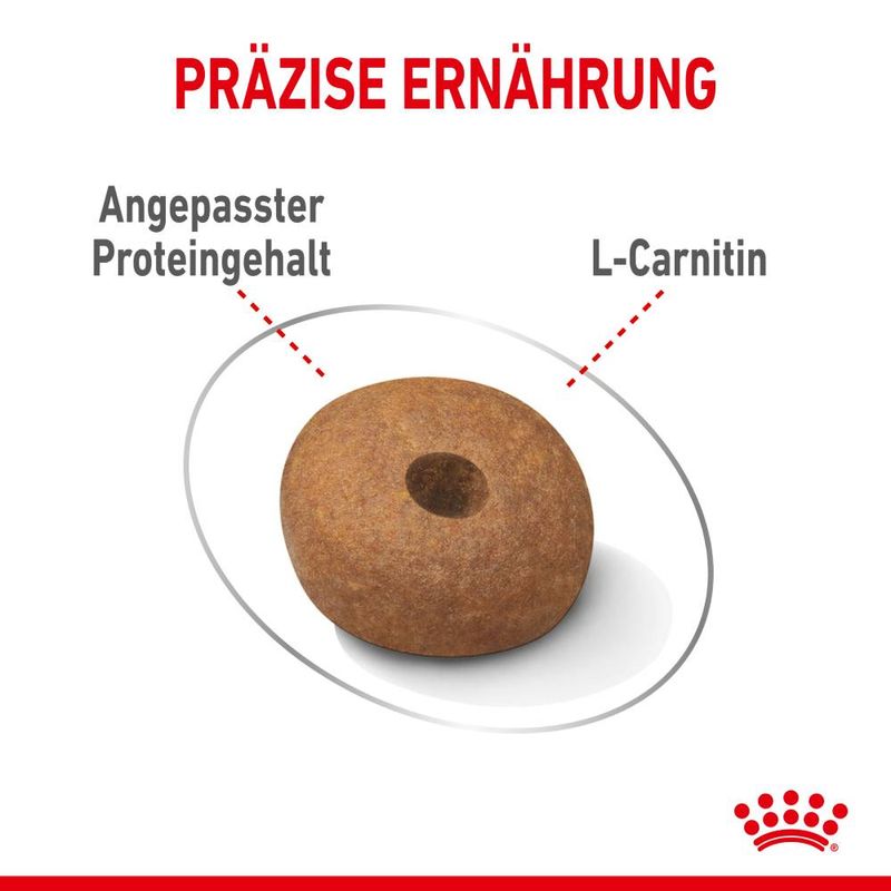 Royal Canin Light Weight Care Medium zu TOP-Preisen | bitiba