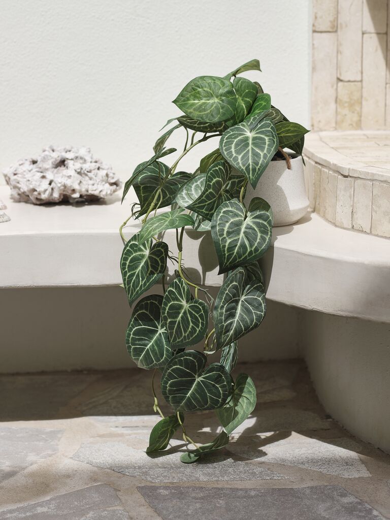 KNOPPSVANE Sztuczna roślina KNOPPSVANE W30cm zielona