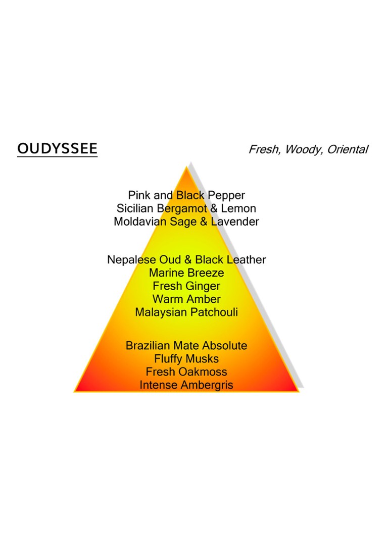 Montale Oudyssee Eau de Parfum