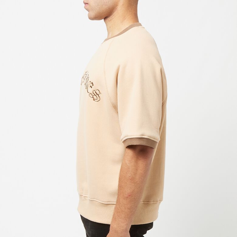 Pleasures Old E Ringer Shortsleeve Crewneck tan