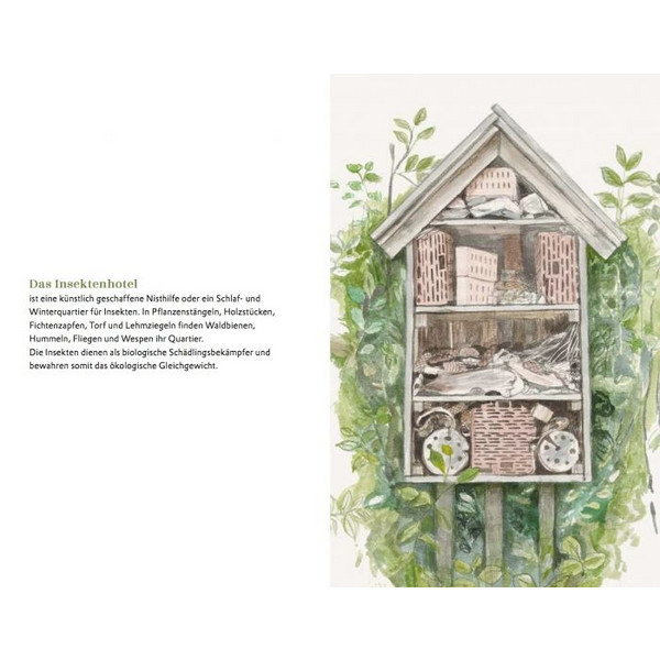 Die kleine Waldfibel - Kinderbuch