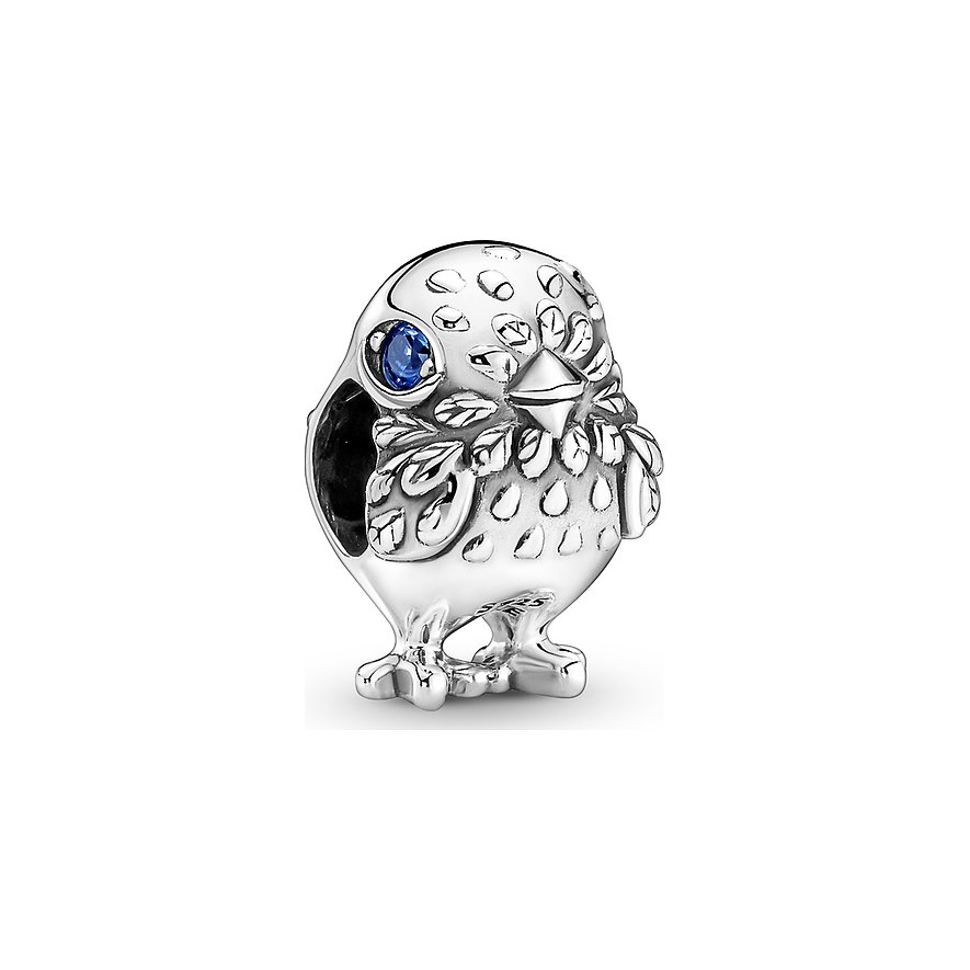 Pandora Charm Moments