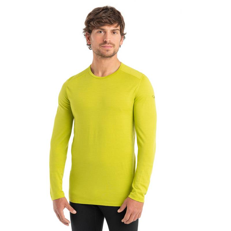 Icebreaker 200 Oasis Funktionsshirt Herren