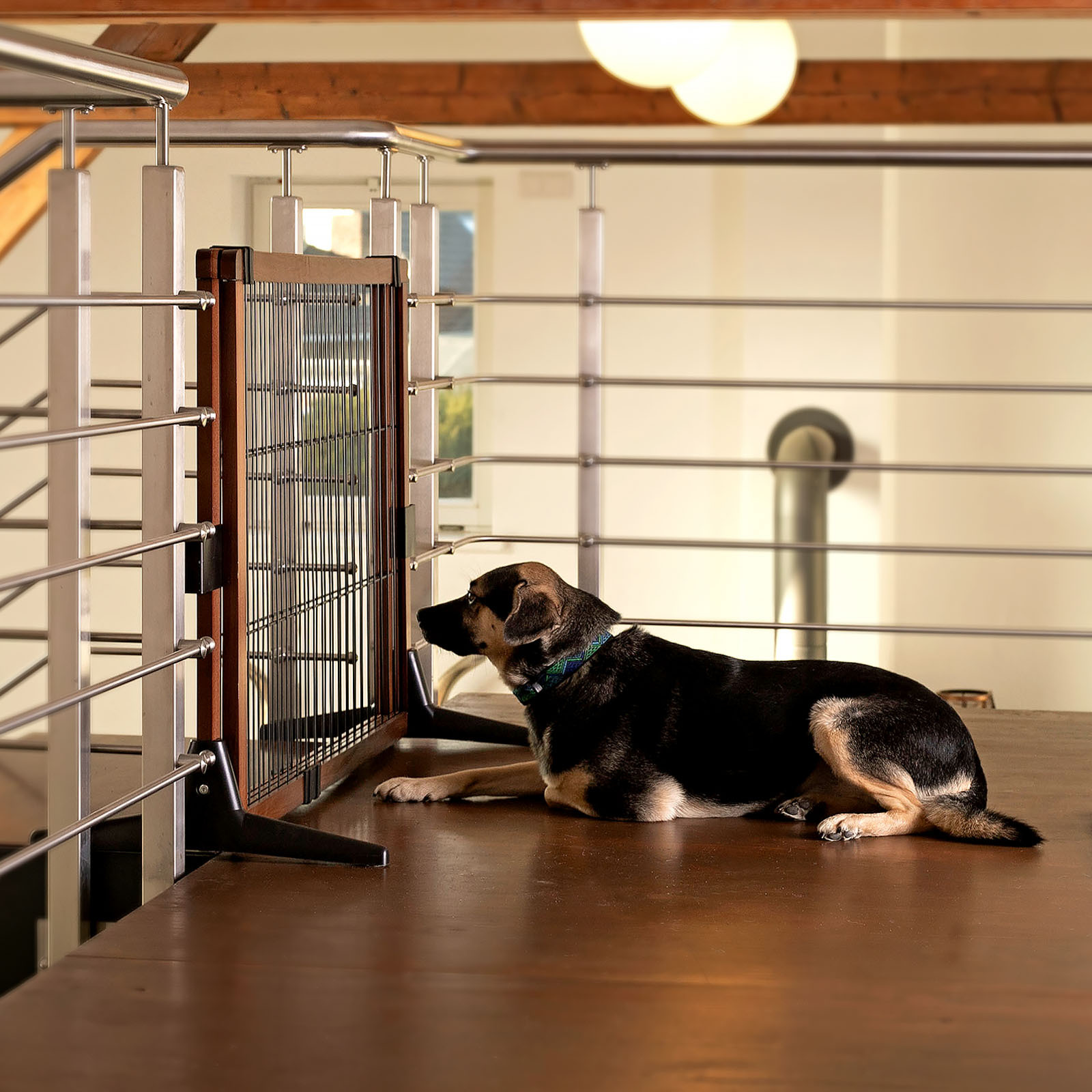 Lionto Türschutzgitter & Hundeklappen Lionto Absperrgitter, Hundeschutzgitter