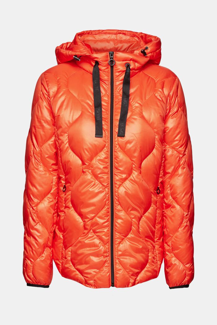 Gesteppte Puffer Jacket mit Kapuze