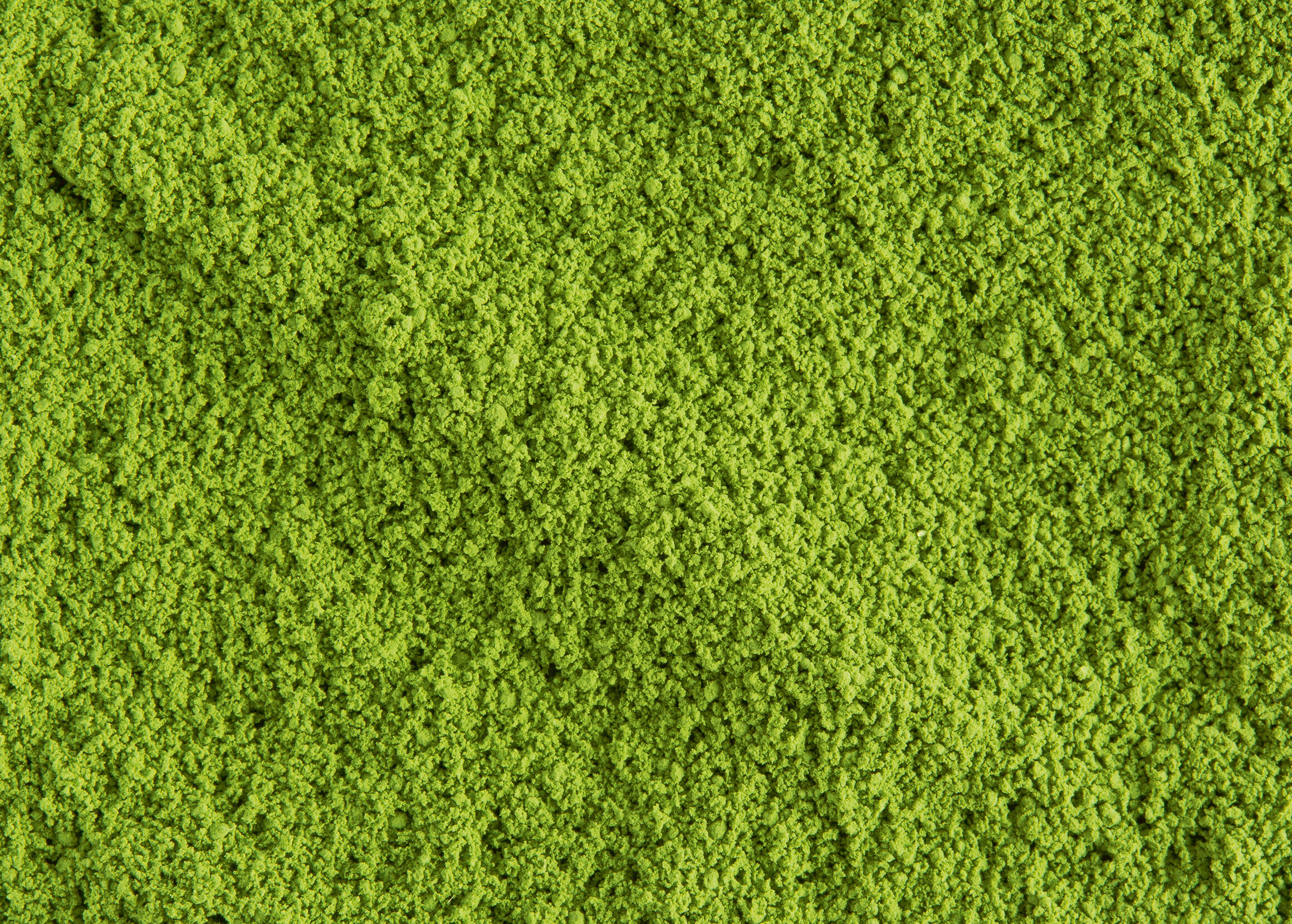 Matcha Minami Yamashiro-Boîte 20g