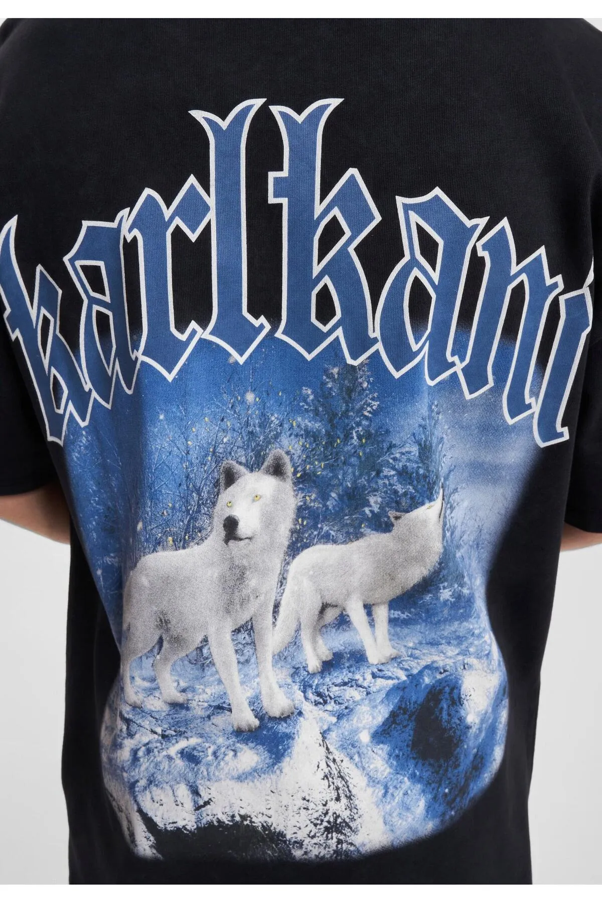 KARL KANI  Unisex KM234-053-1 Small Unterschrift gewaschen schwere Trikot Wolf Tee