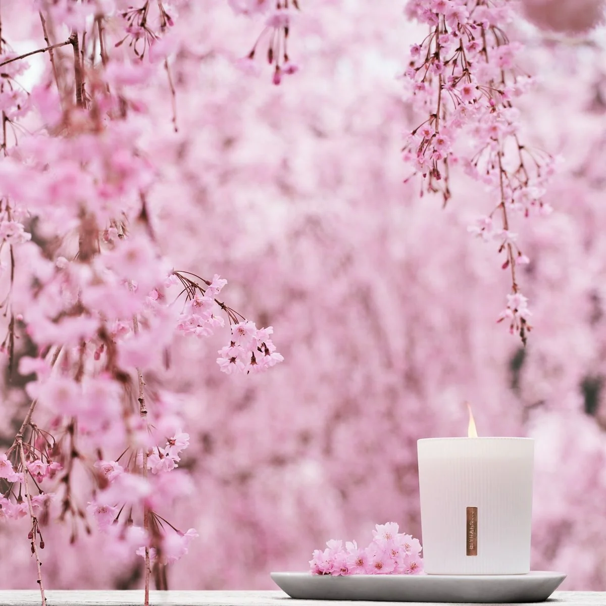Vela aromática Home Collection El Ritual de Sakura - Vela aromática