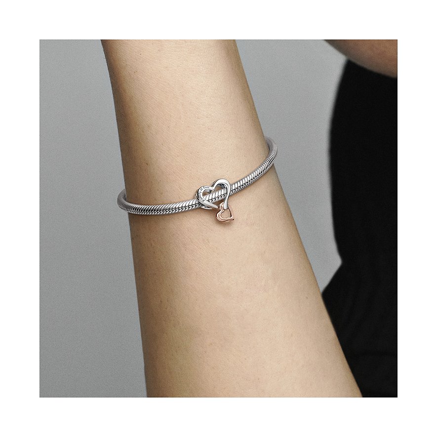 Pandora Charm Moments