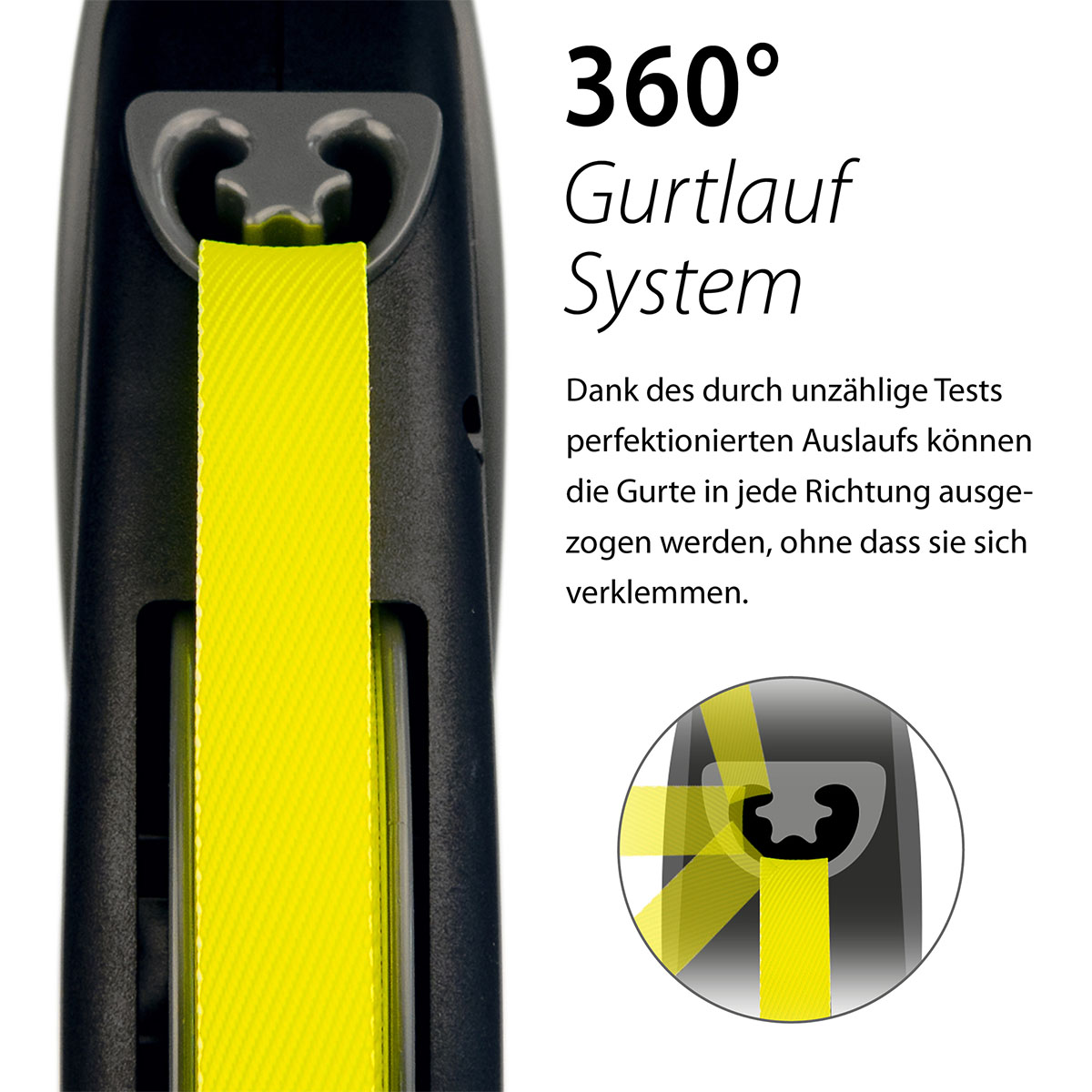 flexi Rollleine Giant Gurt 8 Meter günstig kaufen bei ZooRoyal