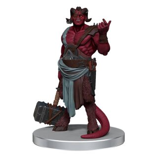 Critical Role: NPCs of Exandria Miniaturen vorbemalt Set 1 (10)
