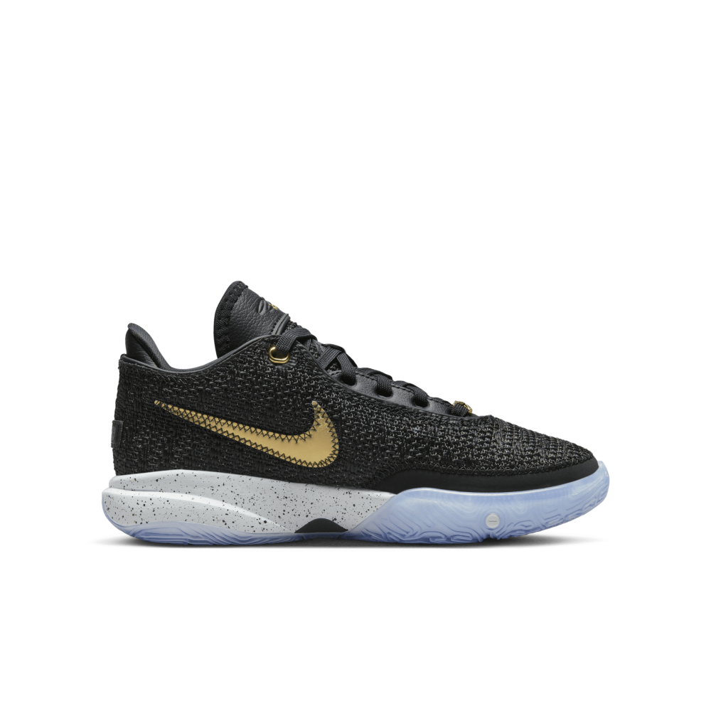 Nike Lebron Xx DQ8651-003 / schwarz