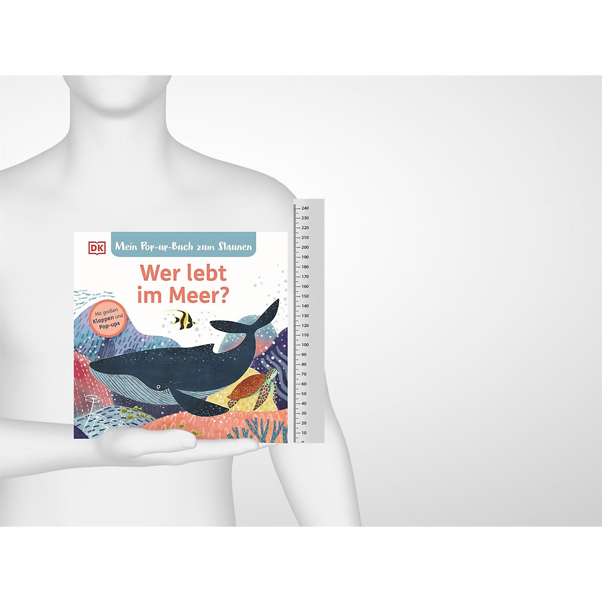 Mein Pop-up-Buch zum Staunen. Wer lebt im  Meer