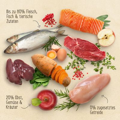 Purizon Black-Angus-Rind mit Truthahn Adult - getreidefrei