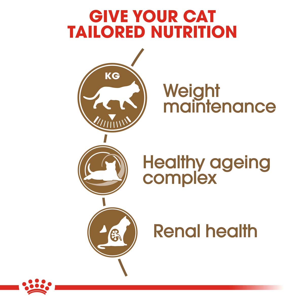 ROYAL CANIN AGEING 12+ Sterilised Trockenfutter für ältere kastrierte Katzen