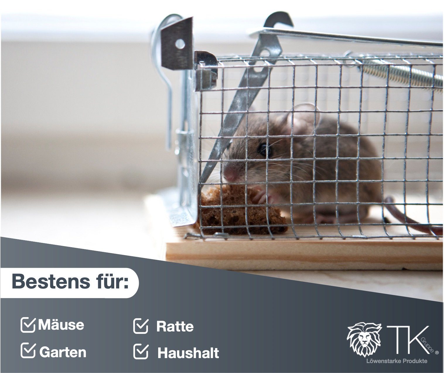 TK Gruppe Lebendfalle 3X Set Tierfreundlich Mäusefallen, lebend - Mausefalle aus Holz