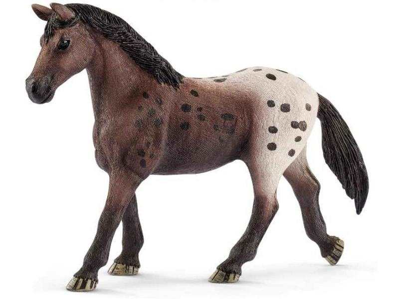 Jument Appaloosa