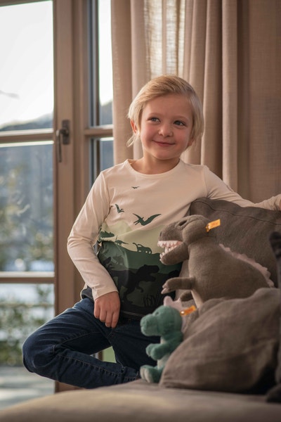 Thaisen T-Rex, 45 cm, hellgrau