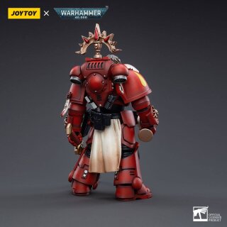 Warhammer 40k Actionfigur: Blood Angels Veteran Salus
