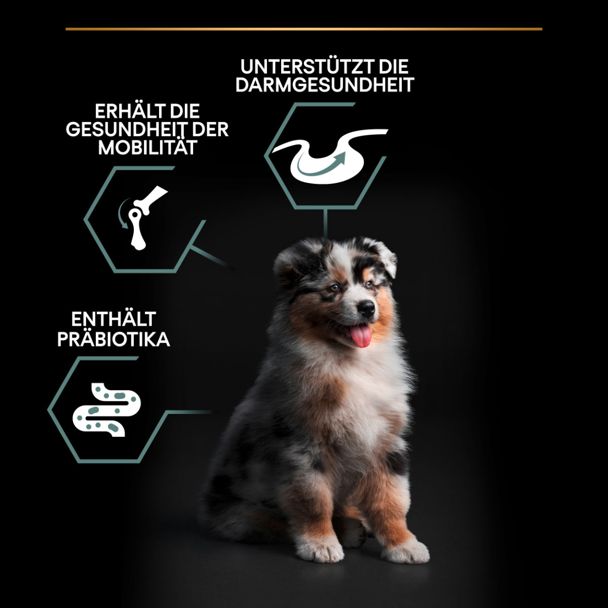 PRO PLAN Medium Puppy Sensitive Digestion Lamm bei ZooRoyal