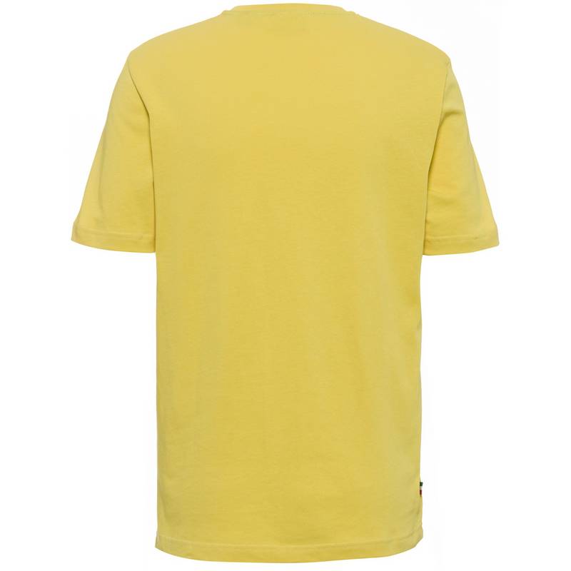 Dolomite GARD Printshirt Herren