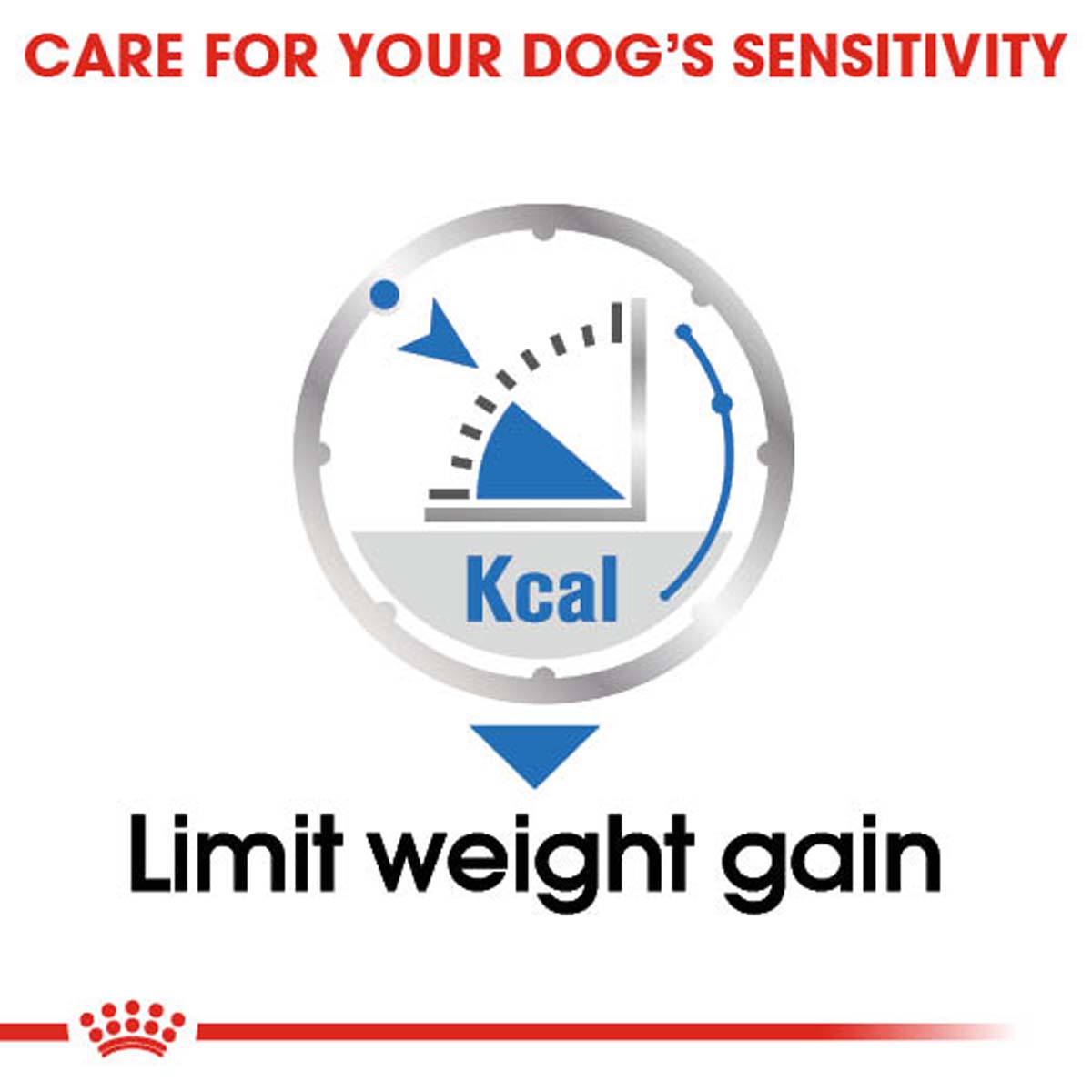 ROYAL CANIN LIGHT WEIGHT CARE MEDIUM 3kg + Mousse 12x85g