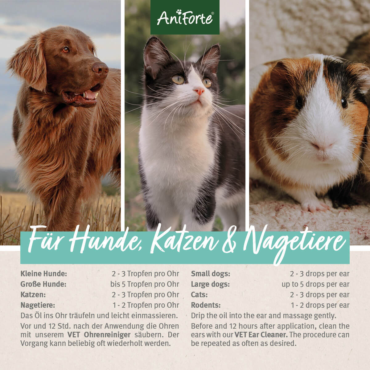 Aniforte Augen- & Ohrenpflege Aniforte Ohrmilbenöl 20ml