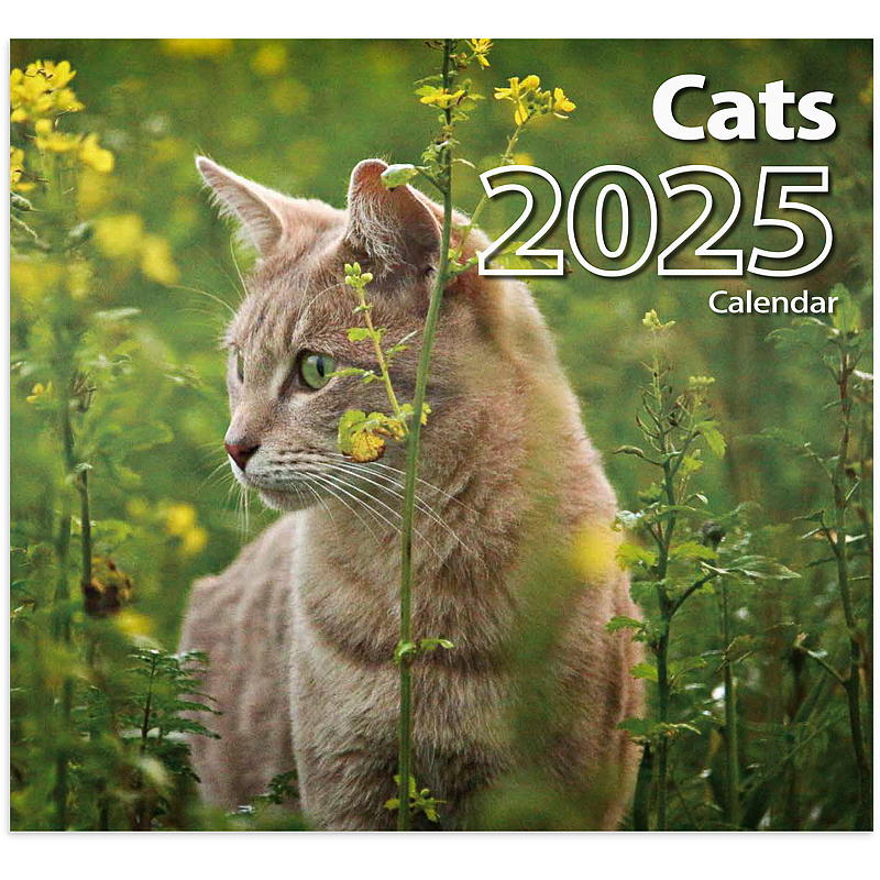 Veggkalender cats 2025