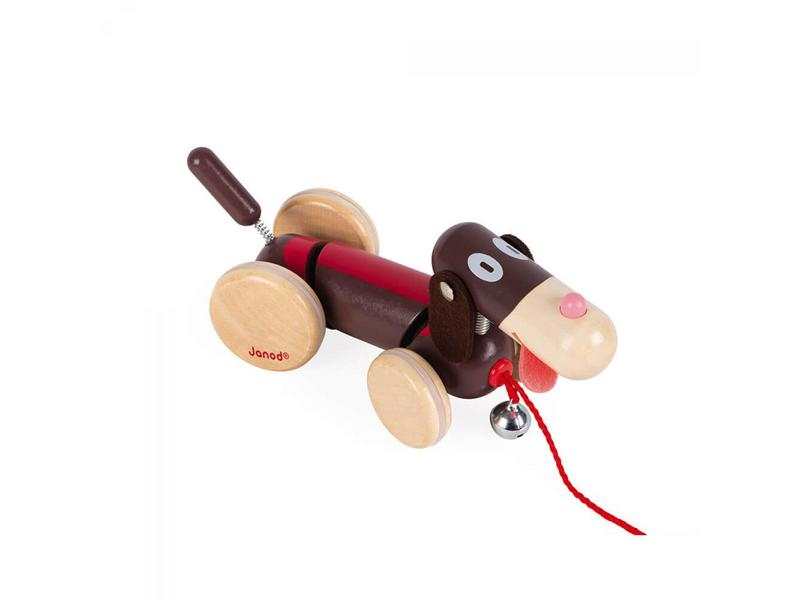chien a promener