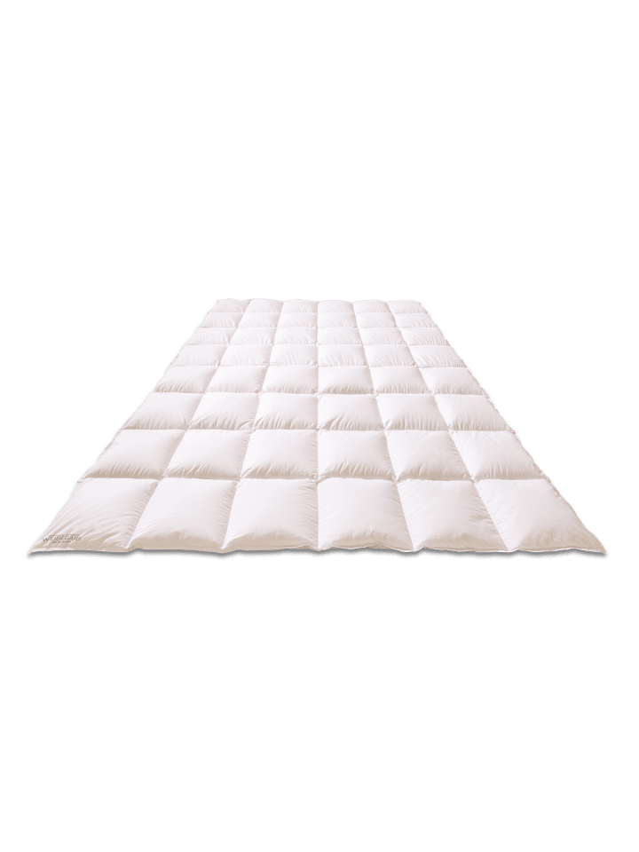Sanders-Kauffmann Bettdecke Gänsedaunendecke  Weidegans Medium in Weiß günstig kaufen 135 x 200 cm