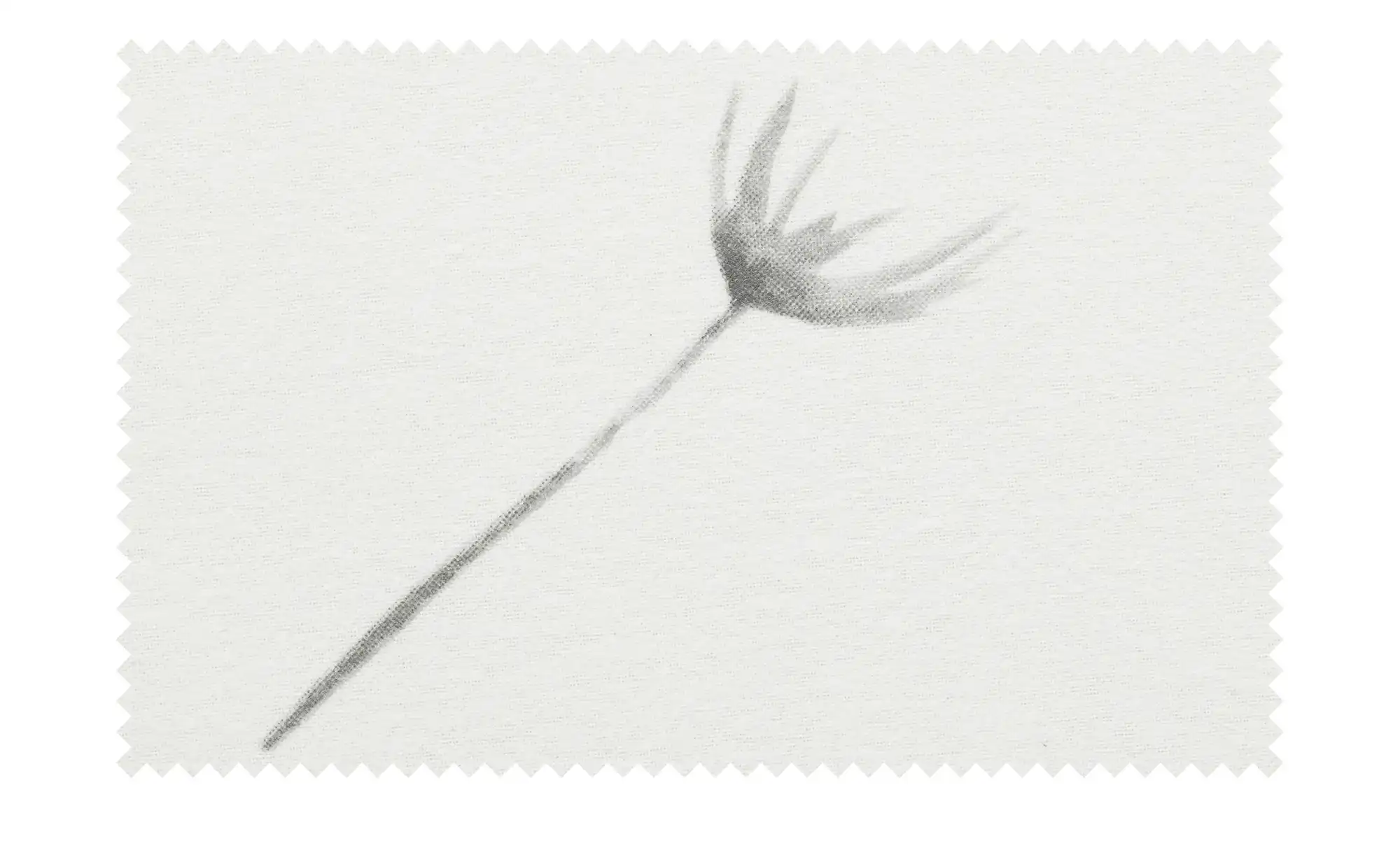 como BIber Bettwäsche Dandelion