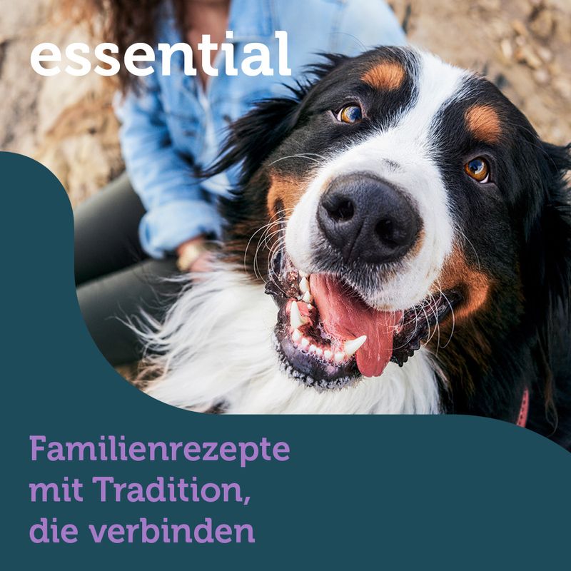 mera essential Brocken