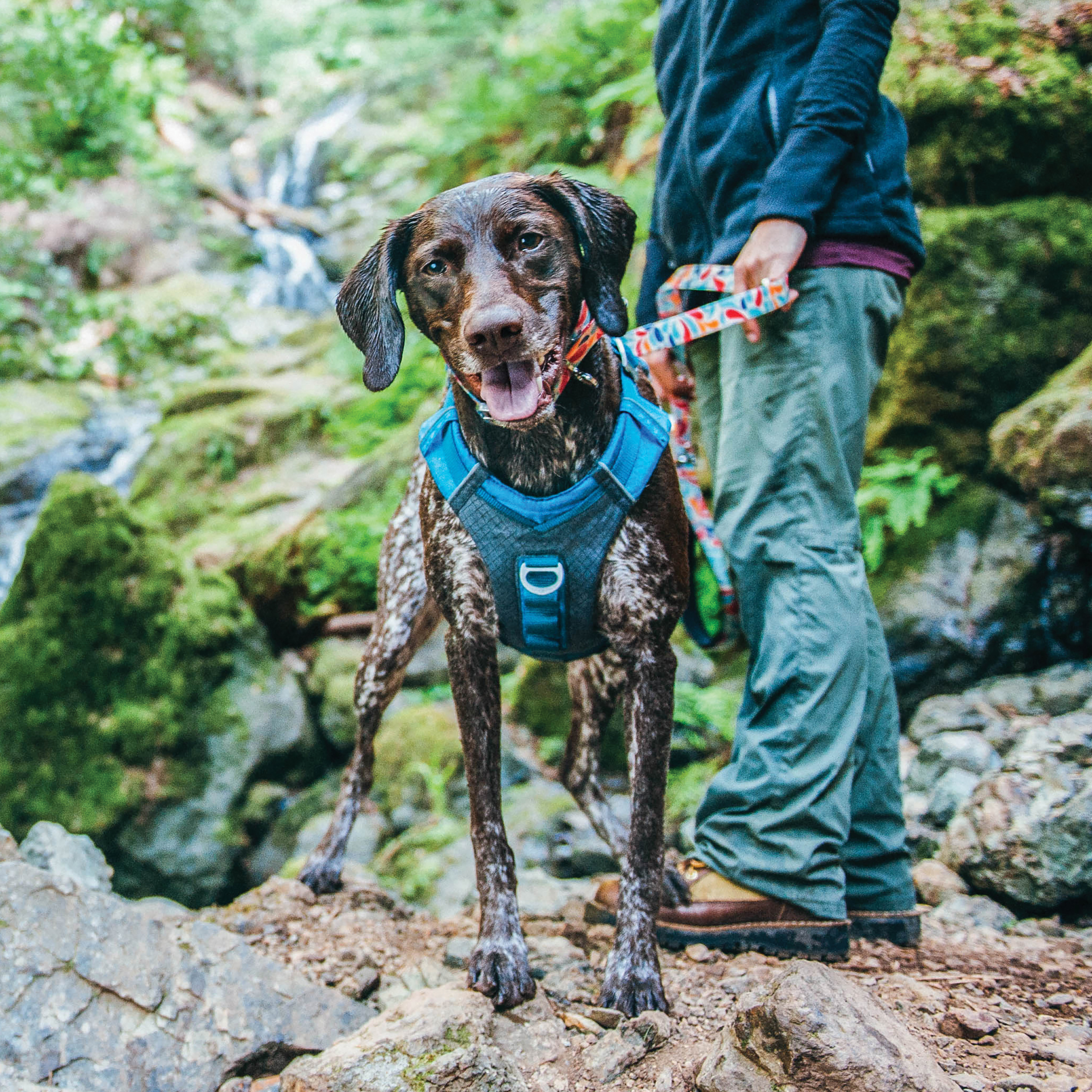 Kurgo Hundegeschirre Kurgo Journey Air Hundegeschirr blau/ grau M