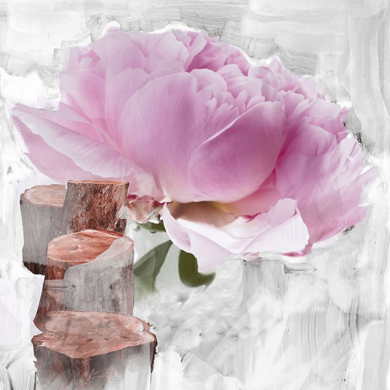 Blanche